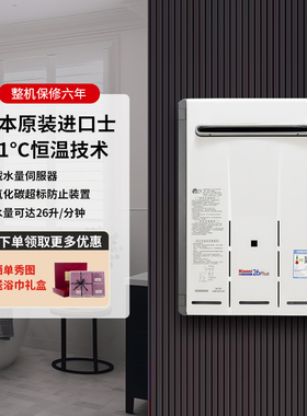 Rinnai/林内 REU-VM2630WD(K)-CH