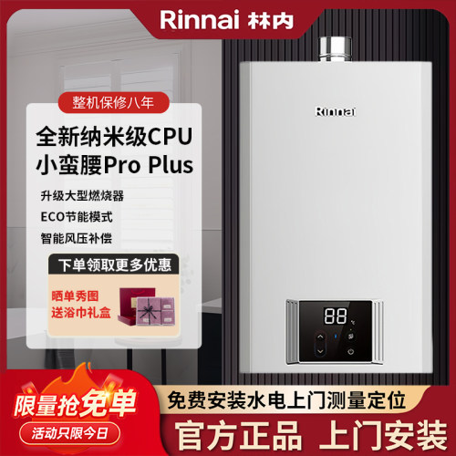 林内智能恒温16升强排式