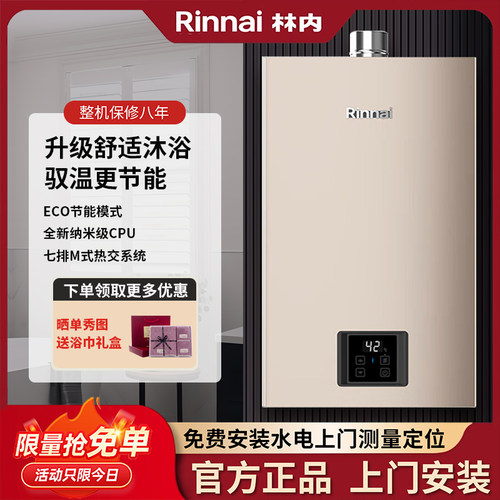 林内智能恒温16升强排式