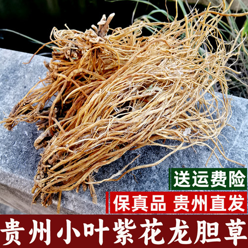 贵州野生小叶紫花龙胆草根有葛根