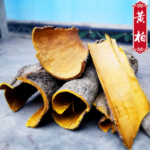 贵州中药材黄柏 农家精选关川黄白皮老树无硫500g包邮整块皮新货 - 封面