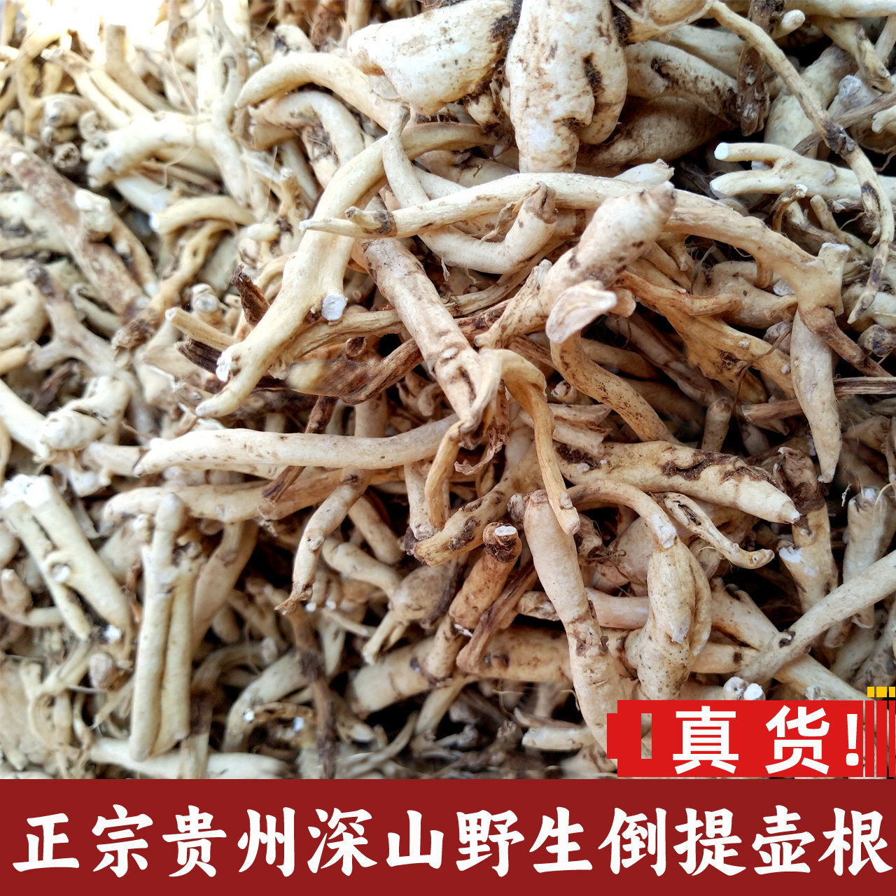 贵州野生中药材倒提壶根 正宗干品100g包邮蓝布裙拦路虎琉璃草根
