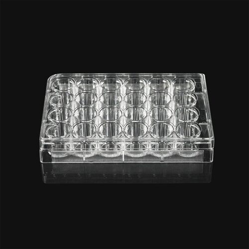 24孔细胞培养板11310LABSELECT