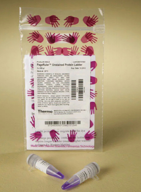 赛默飞  26614 试剂PageRuler UnstainedProtein Ladder  2*250ul