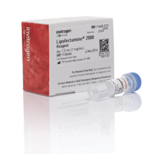 Invitrogen 试剂Lipofectamine2000/脂质体2000[11668-027]0.75ml