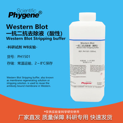 实验试剂WB一抗二抗洗脱液(酸性)