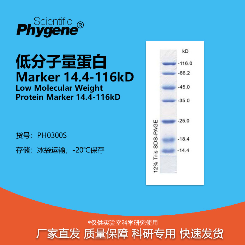 低分子量蛋白质Marker14.4-116kD