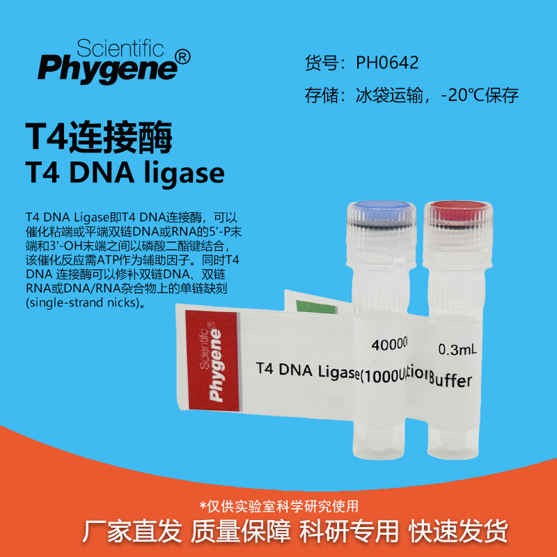 T4DNA连接酶T4DNALigase