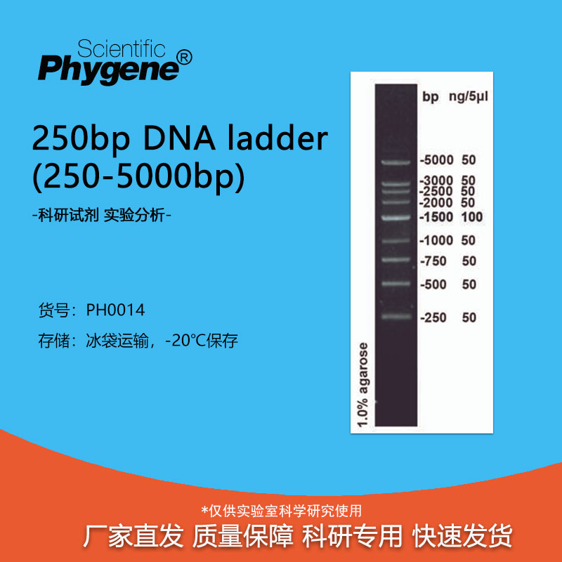 250bp DNA Marker ladder (250-5000bp) 100T [PH0014 PHYGNE] 工业油品/胶粘/化学/实验室用品 试剂 原图主图