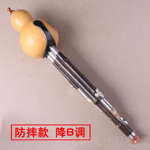 正品竹之韵演奏型芦丝C调降B调葫小d f调 g调 傣a调乐学生成人器