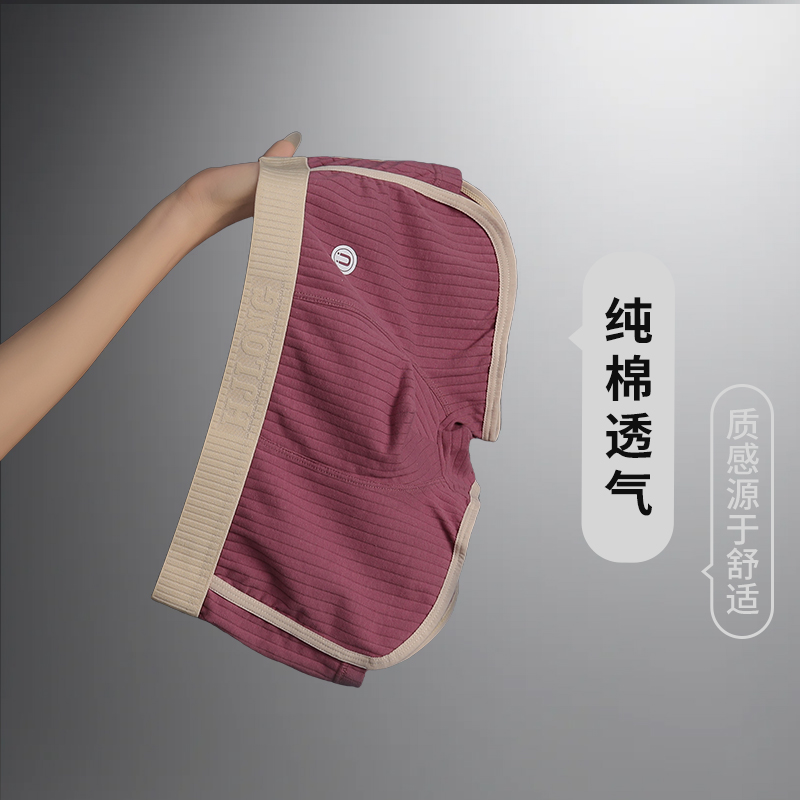 仟雅仙子纯棉内裤青年男士平角裤