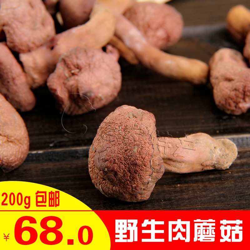 内蒙古特产野生美食肉蘑菇 红蘑菇野生干货肉蘑菇200g包邮!