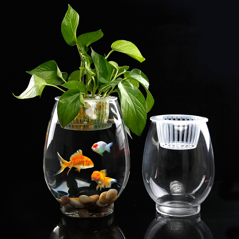 玻璃水培植物花瓶铜钱草绿萝红掌透明恐龙蛋富贵竹水养鱼缸器皿