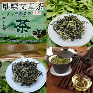 麒麟文章茶2025新春茶广东封开肇庆明前绿茶红茶单丛茶包邮
