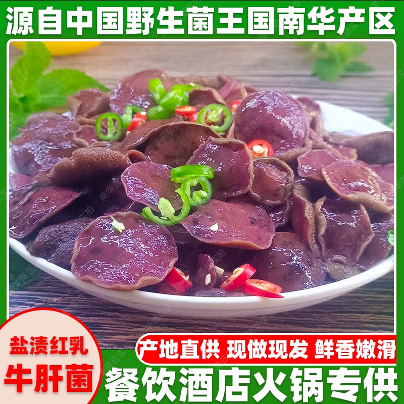 云南野生菌盐渍红乳牛肝菌煲汤荤新鲜松茸/菌菇