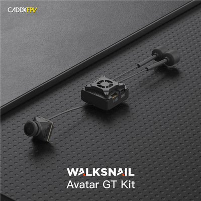 WalksnailAvatarGTK2W