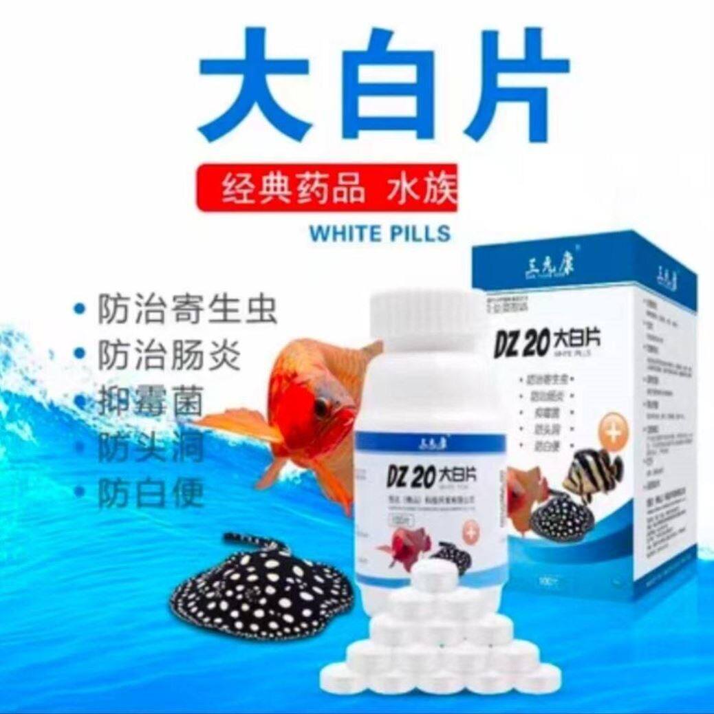 大白片水族观赏鱼药内寄龙鱼罗汉鹦鹉鱼凸眼头洞白点鱼病