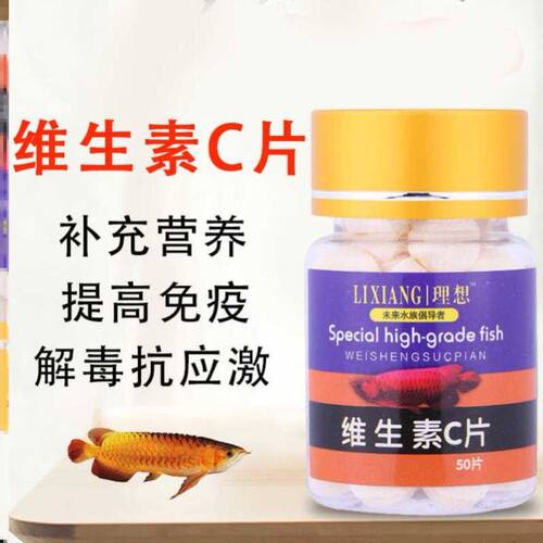 观赏鱼维他命龙鱼鹦鹉鱼锦鲤增色增艳增强体质鱼用维生素VC解毒