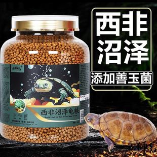 西非侧颈龟龟粮沼泽侧颈龟饲料仰泳龟深水蛋种网红龟苗专用粮
