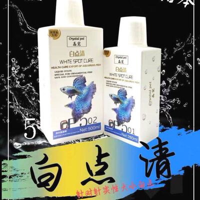 白点净鱼缸小瓜虫锦鲤鹦鹉鱼观赏鱼小型鱼白毛烂鳃水霉