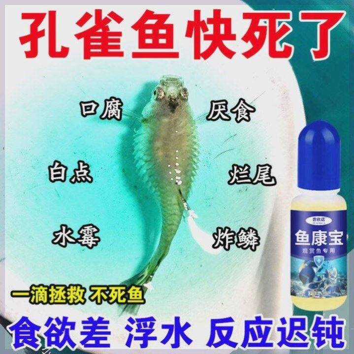鱼康宝观赏鱼专用鱼病专用药水霉烂身烂尾万能鱼药