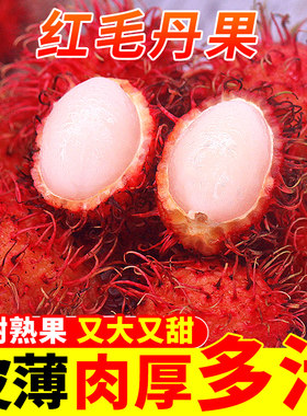 当季海南红毛丹新鲜水果毛荔枝不常见的孕妇热带水果整箱特产包邮