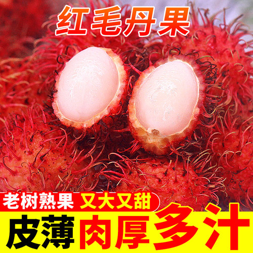 正宗海南三亚红毛丹 荔枝的爸爸 爆甜多汁