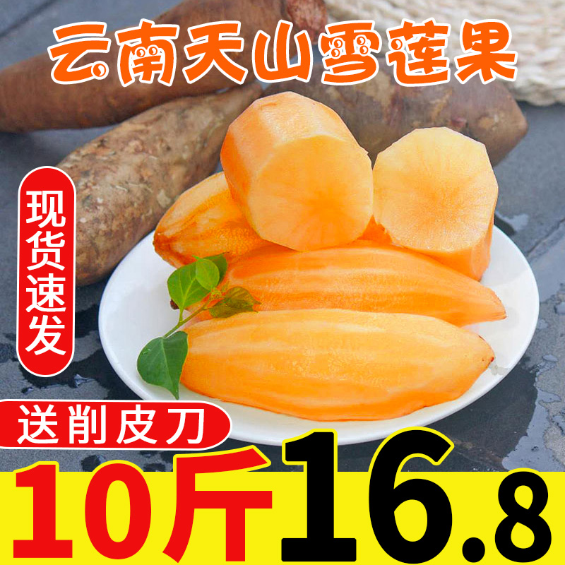 云南天山雪莲果新鲜10斤红心特级现挖雪连水果当季整箱现货包邮5