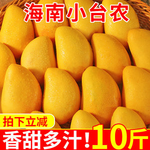 海南小台农芒果10斤新鲜小台芒当季特产水果现摘芒果大果整箱包邮