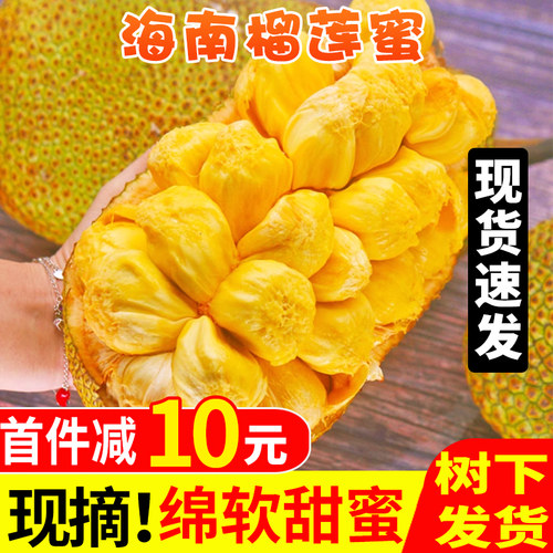 海南榴莲蜜应季热带水果