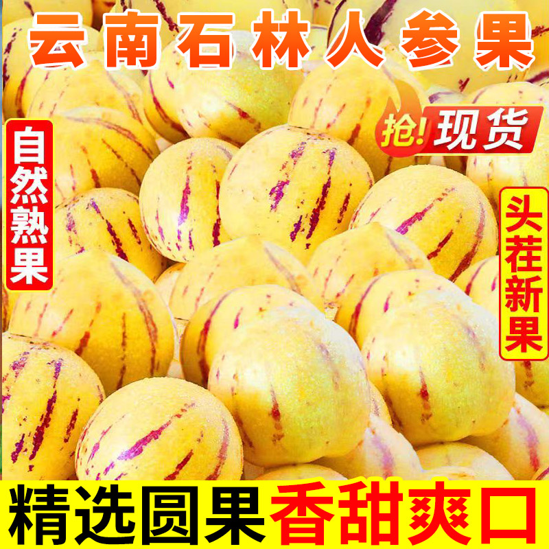 云南石林人参果9斤 圆果水果新鲜大果包邮人叁果黄人生果当季整箱