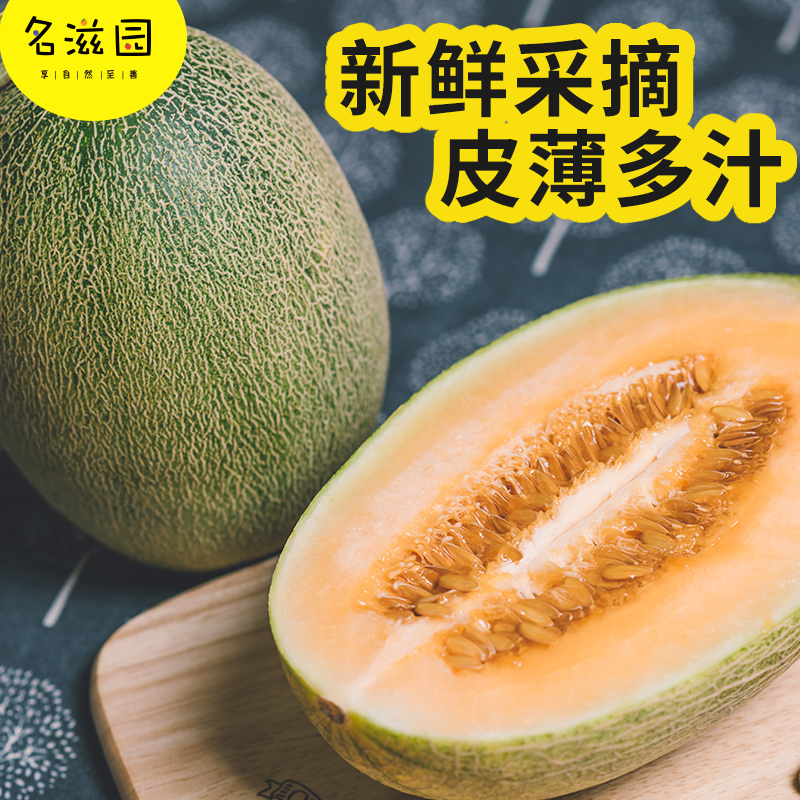 2个装新疆哈密瓜 净重6-7斤 西州蜜甜瓜新鲜水果网纹瓜包邮