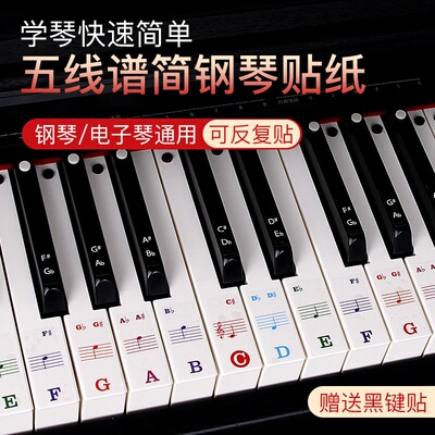 钢琴键盘贴88/61/54键通用手卷钢琴电子琴琴贴纸五线谱简谱键位贴
