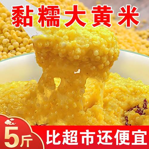 正宗东北大黄米粘糯黍米粘米饭