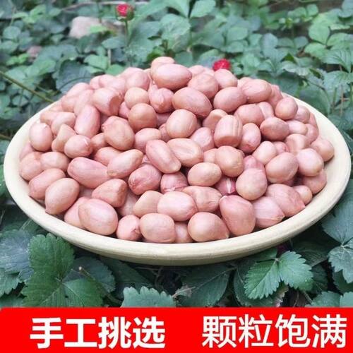 正宗粉皮花生无壳粉红白沙花生仁
