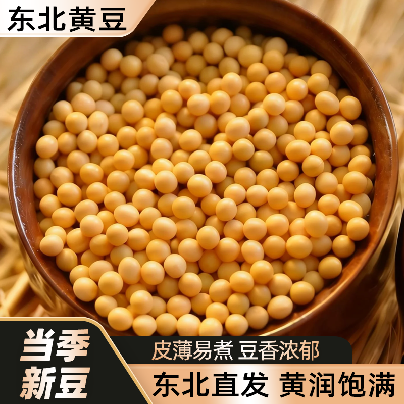 黄豆东北大豆打豆浆专用农家自种批发干货腐竹专用大粒做豆腐5斤 - 实物图
