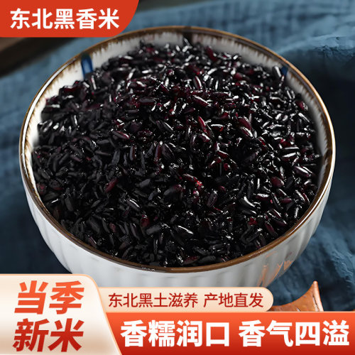 东北黑米无染色五谷杂粗粮黑大米