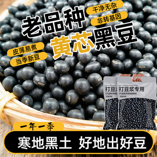黄心黑豆优质东北黄芯纯天然五谷杂粮粗粮黑豆补气血打豆浆发豆芽