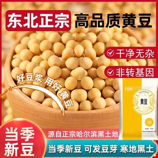 黄豆东北大豆打豆浆专用农家自种批发干货腐竹专用大粒做豆腐5斤