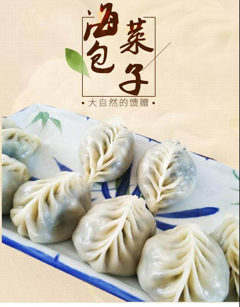 长岛野生海菜包子16个/渔家招牌美食纯手工早餐/任拍2单 送8个包