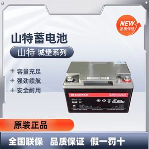 山特UPS铅酸蓄电池C12V100AH65AH38AH26AH18AH120AH200ah机房应急
