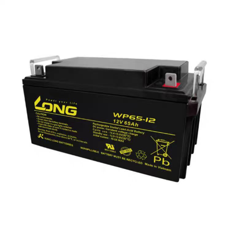 长隆铅酸蓄电池12V65AH免维护WP65-12消防医疗应急照明UPS电源