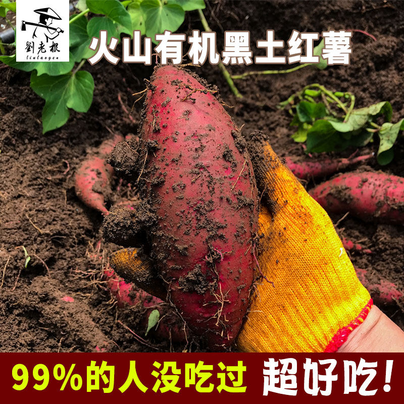 Liulaogen Volcano Black earth sweet potato Farm fresh SWEETHEART Roasted sweet potatoin the Aquatic meat/Fresh fruits and vegetables/Cooked , Fresh vegetables/Vegetable products , Fresh vegetables , Sweet potato  category - from Buy2taobao.com to provide professional Taobao agent buy service