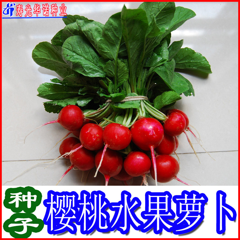 水果樱桃萝卜四季菜籽