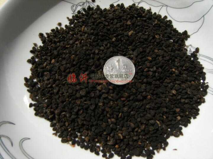 中药材 补骨脂 正品破故纸 实体中草药材店铺100克