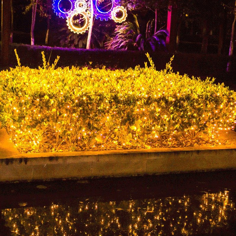 精选24V低压网灯渔网灯彩灯wled闪灯串灯装饰草坪灌木户外防水房,节庆用品/礼品,装饰灯,淘宝优惠券,粉丝福利购,淘宝优惠卷