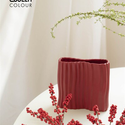 新年CoolerColour新年红色陶瓷褶皱花瓶花器干燥花W水培插花家居