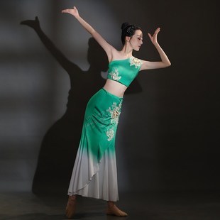 纳孔雀舞鱼 成人演出服女艺考表演O服西双版 优选傣族舞蹈服装 修身