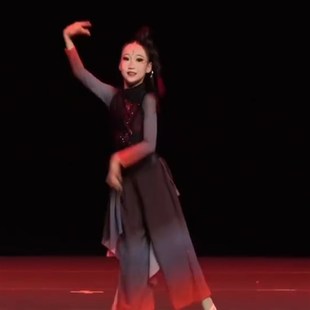 优选古典舞演出服女儿童练功服飘逸扇子舞桃李杯缠舞Y蹈表演艺考