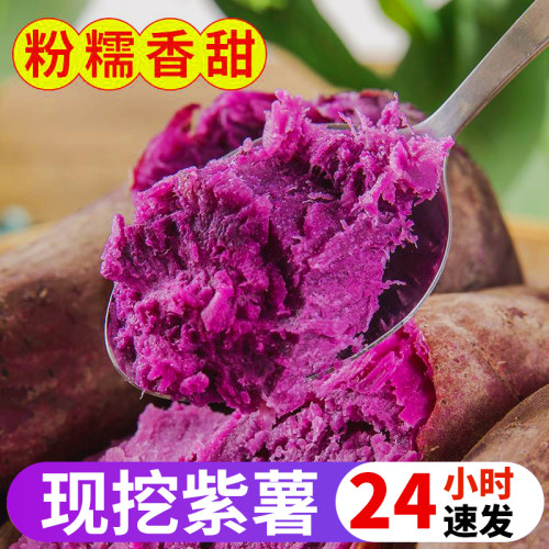 【老店】2025现挖紫薯新鲜番薯